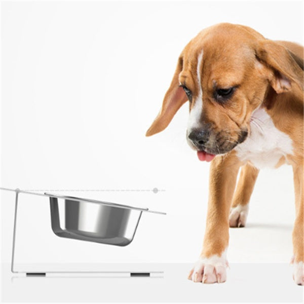 Durable and easy-to-clean stainless steel pet bowl for everyday use