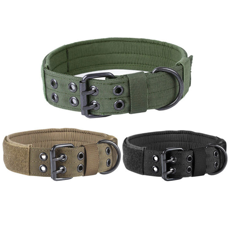 Comfortable padded nylon collar for dogs.