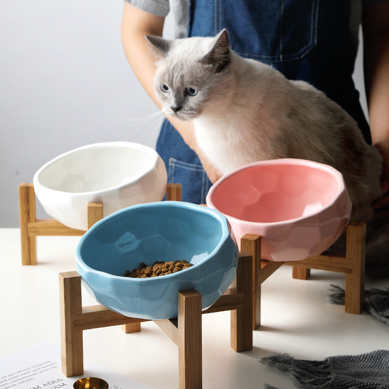 Pet Food Bowl - Tilted Design for Cats & Dogs