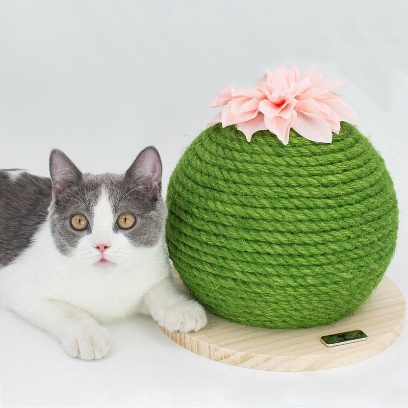 Cactus Cat Climbing Frame