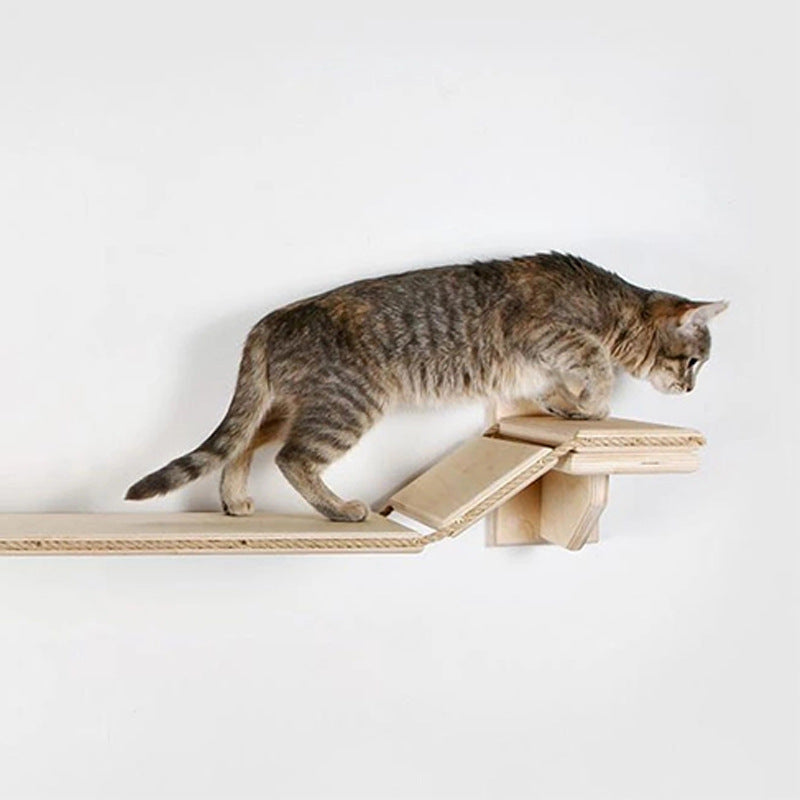 Encourages your cat to exercise and have fun.