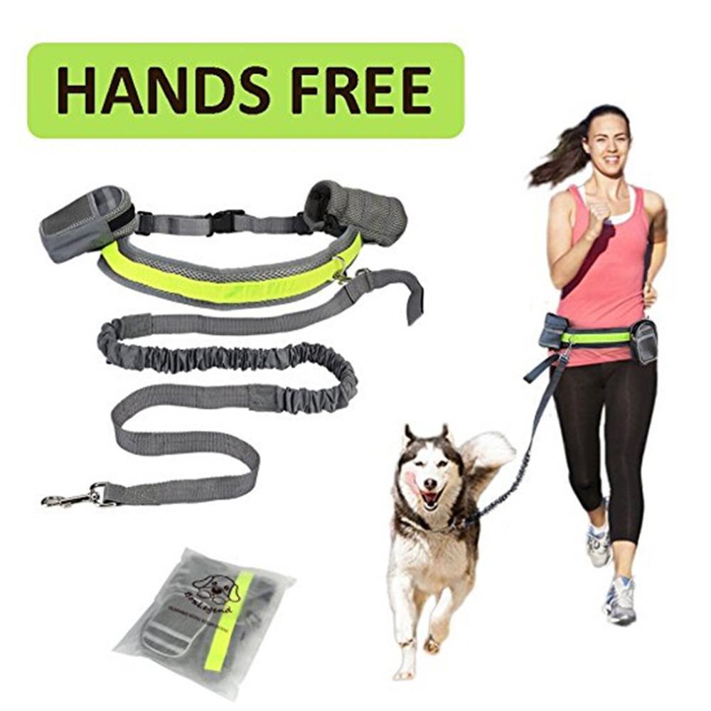 The dog jogging harness is adjustable and retractable, ideal for outdoor activities