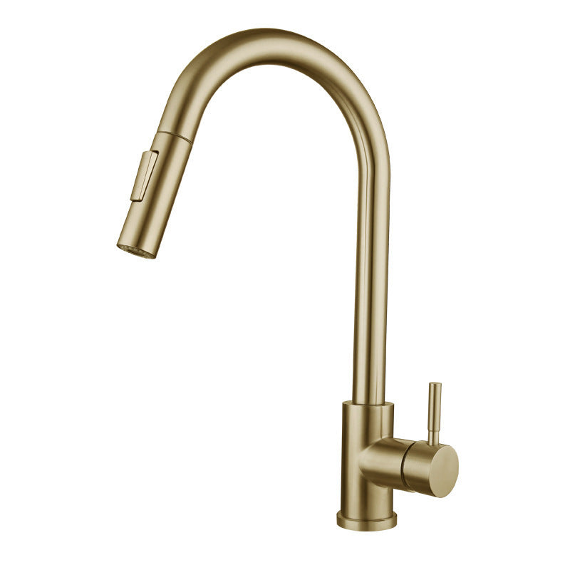 Stainless Steel Kitchen Pull-out Retractable Faucet