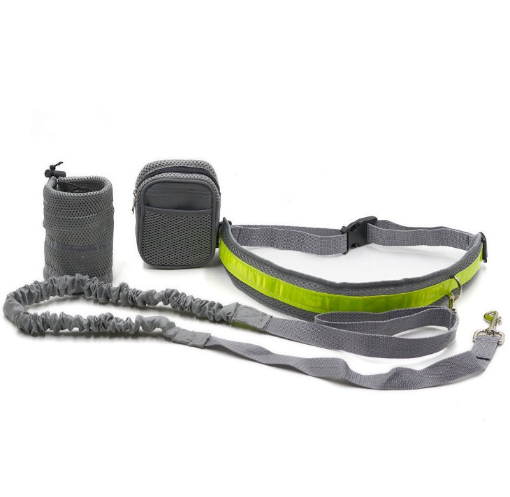 Ideal for active dog owners who enjoy company during runs and hikes