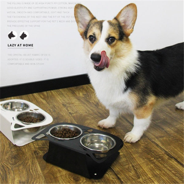 Stainless steel pet bowl with an inclined design for easy feeding