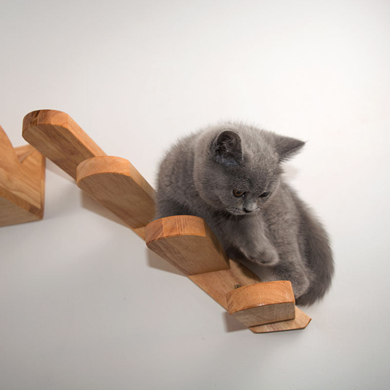 Space-saving and fun cat ladder.